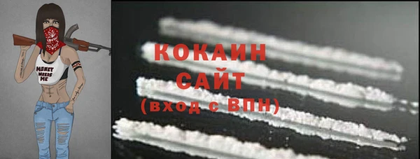 шишки Кинешма