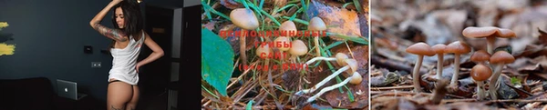 круглые Кодинск