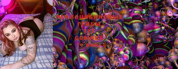 шишки Кинешма