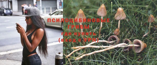 таблы Козельск