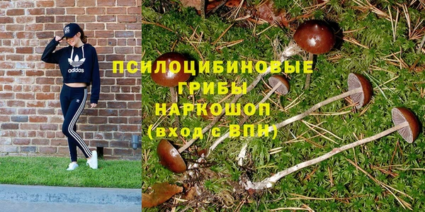 круглые Кодинск
