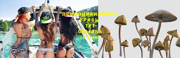 шишки Кинешма