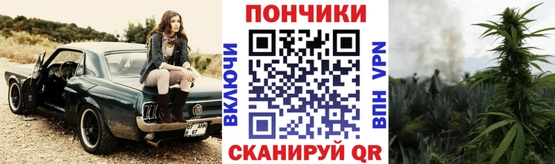 Шишки марихуана семена  Медвежьегорск 